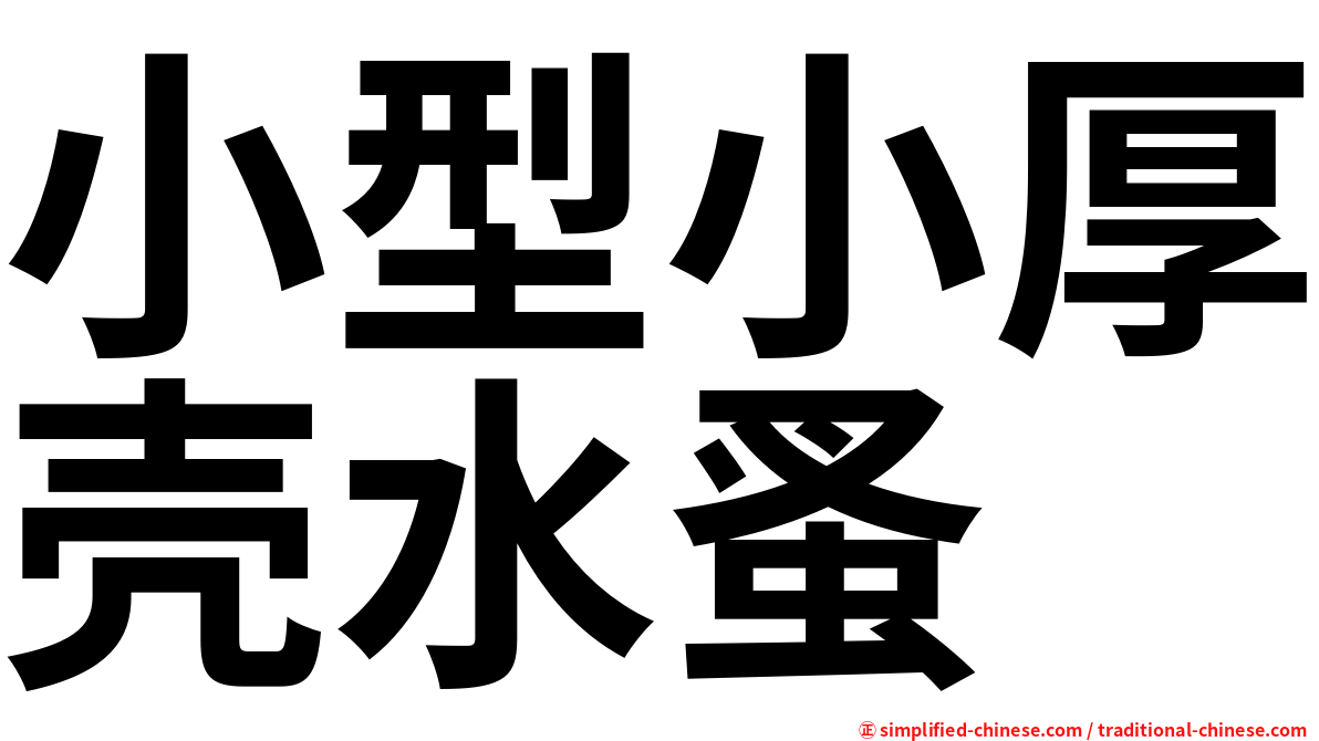 小型小厚壳水蚤