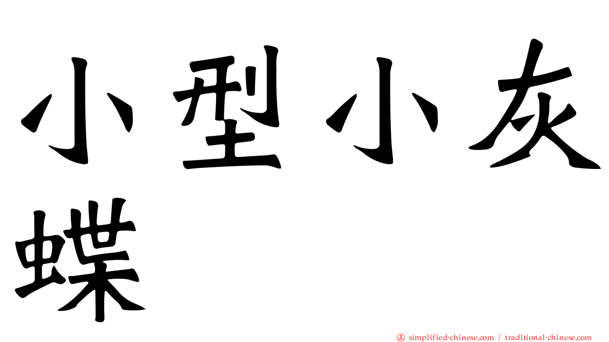小型小灰蝶