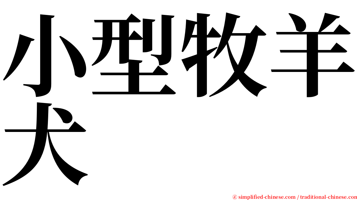 小型牧羊犬 serif font
