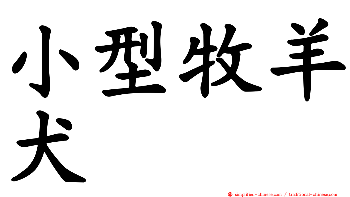 小型牧羊犬