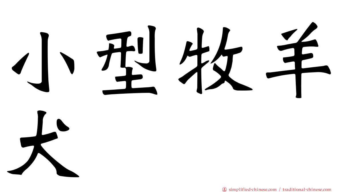 小型牧羊犬