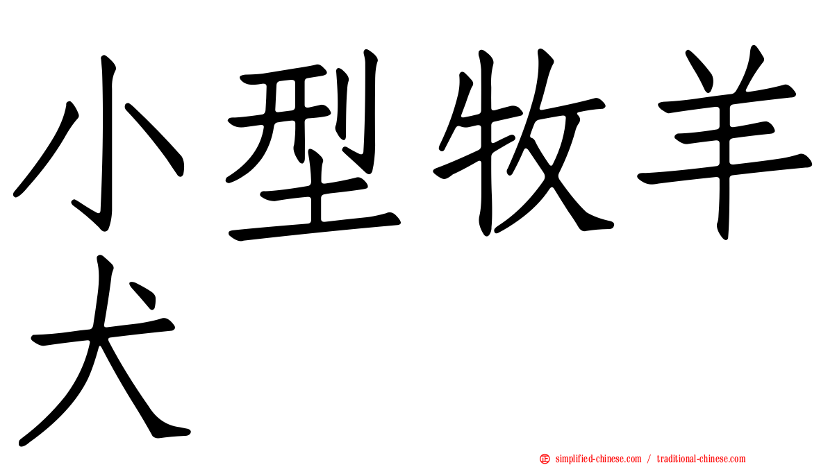 小型牧羊犬