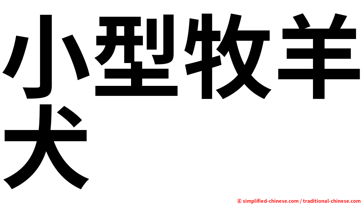 小型牧羊犬