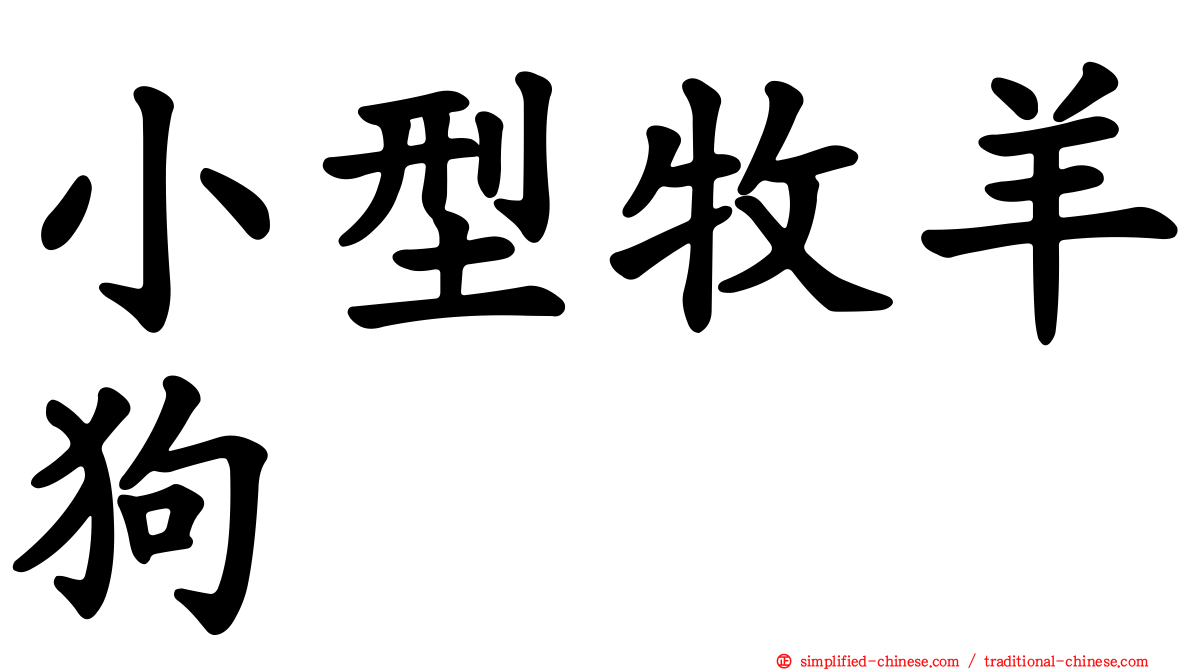 小型牧羊狗