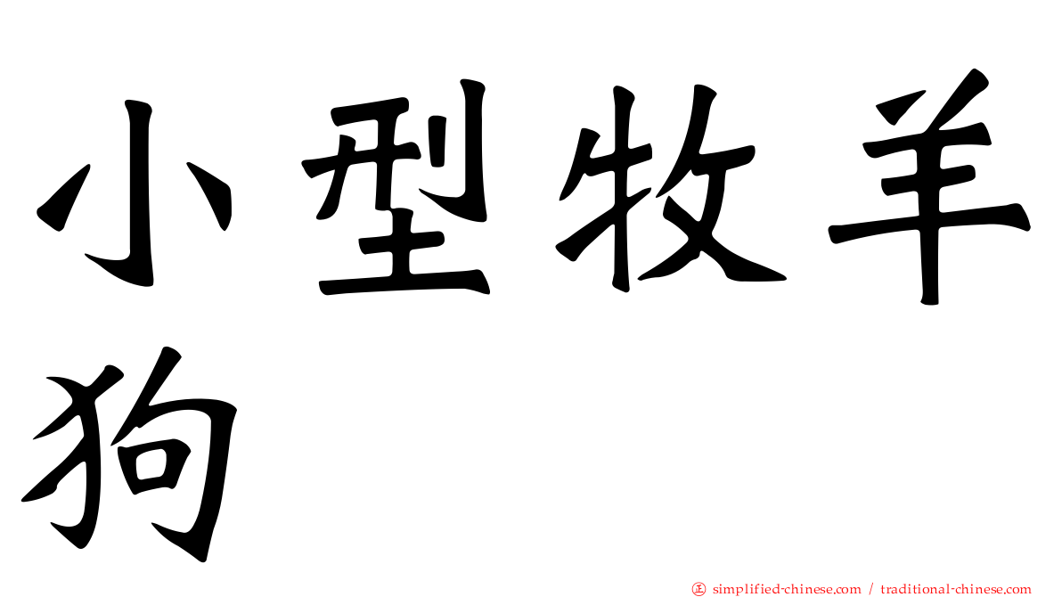 小型牧羊狗