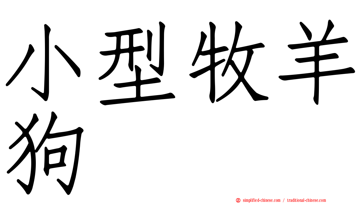 小型牧羊狗