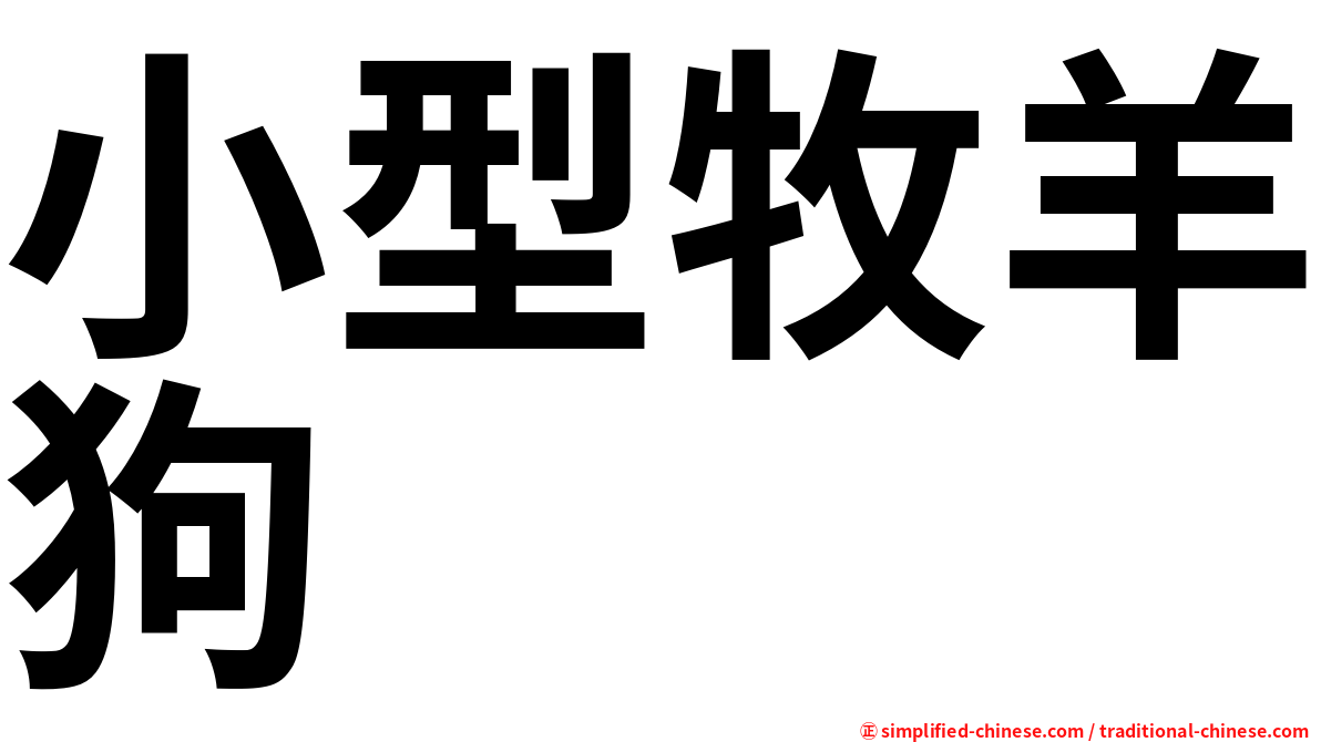 小型牧羊狗