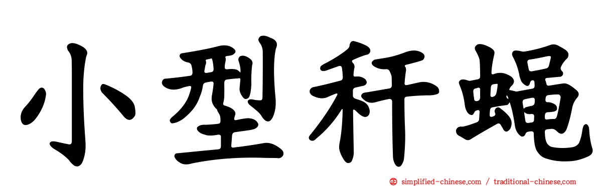 小型秆蝇