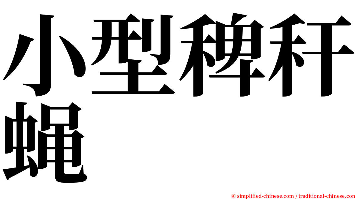 小型稗秆蝇 serif font