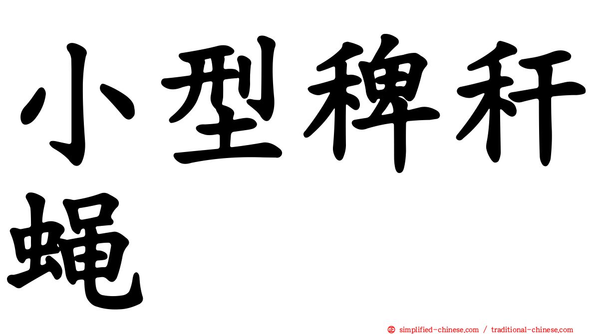 小型稗秆蝇