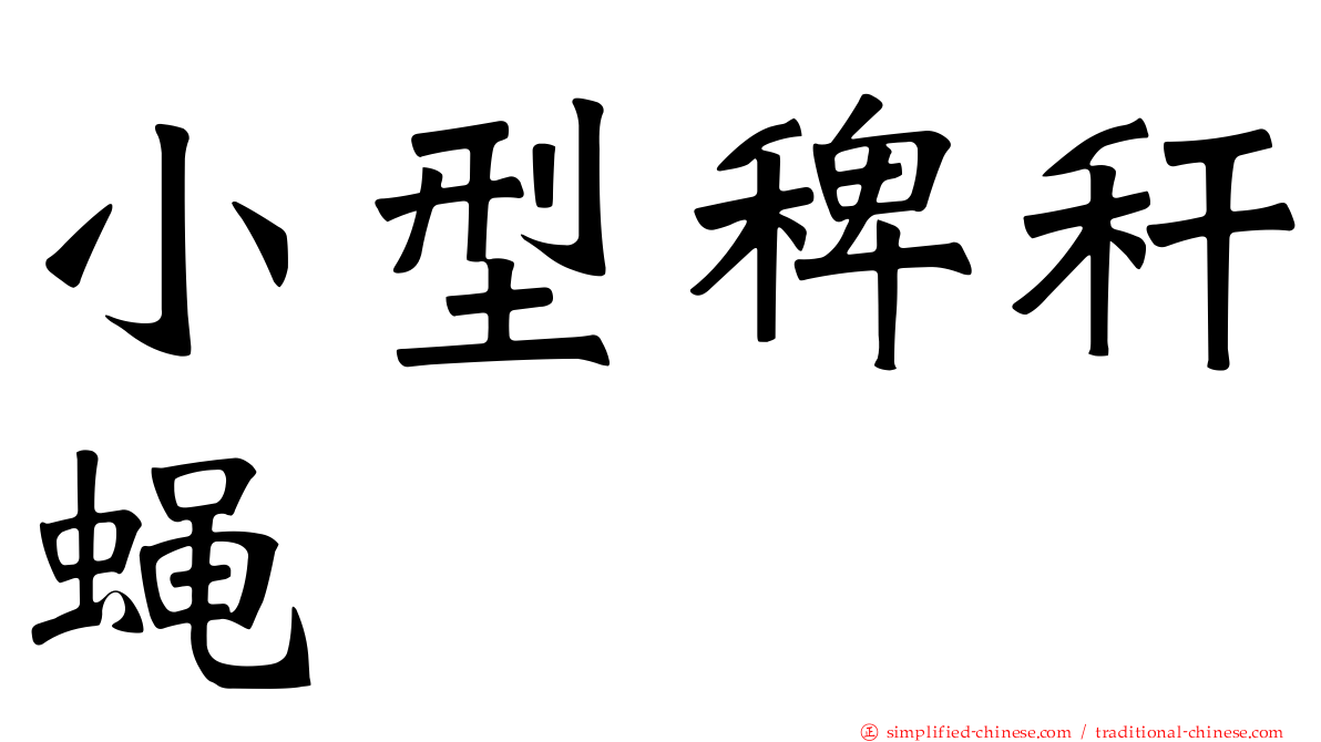 小型稗秆蝇