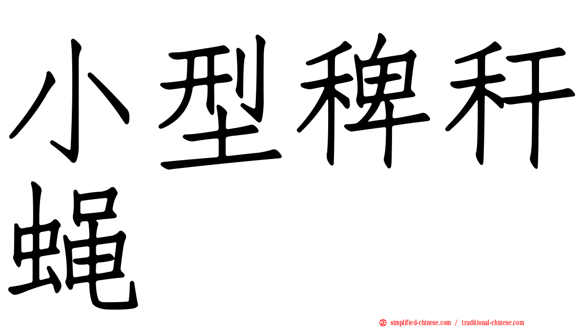 小型稗秆蝇