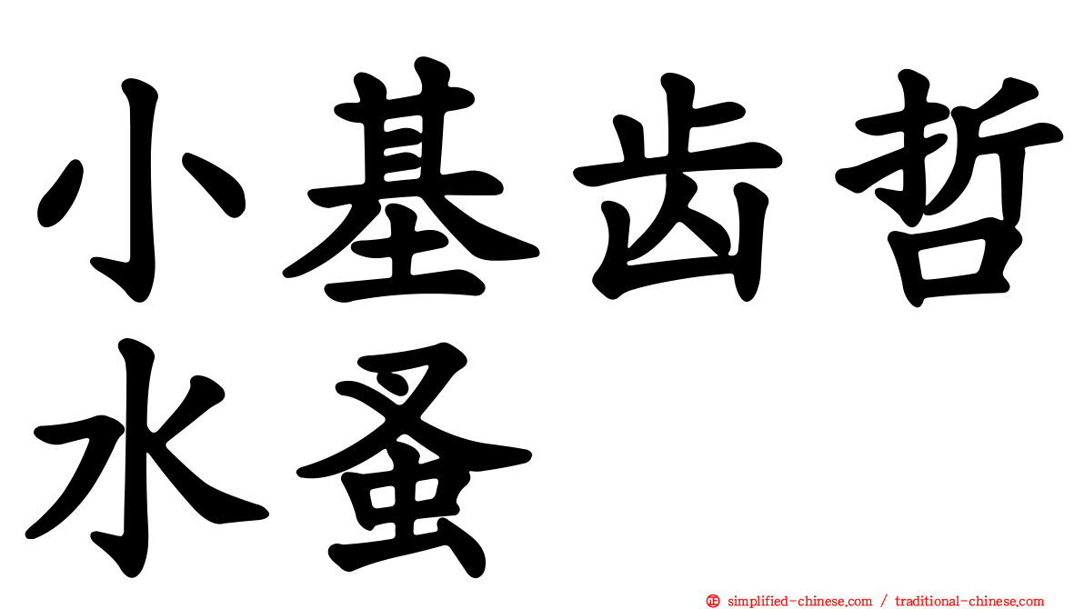 小基齿哲水蚤