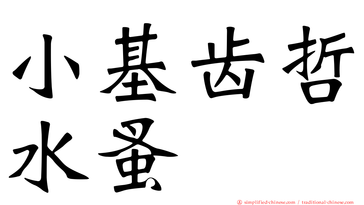 小基齿哲水蚤