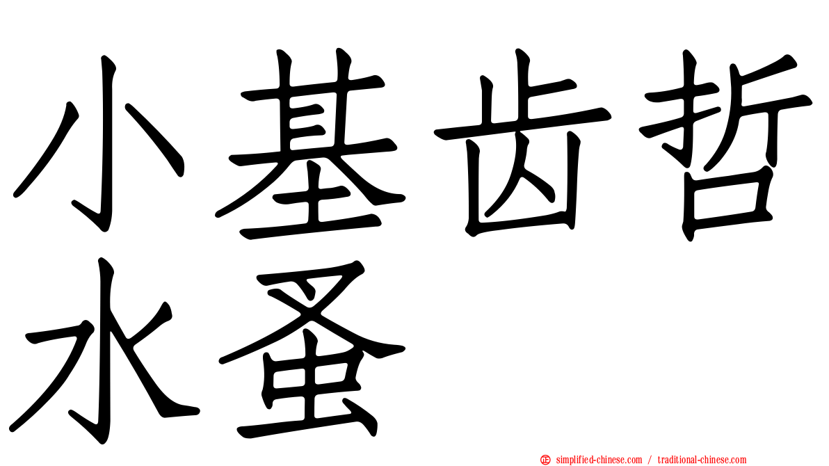 小基齿哲水蚤