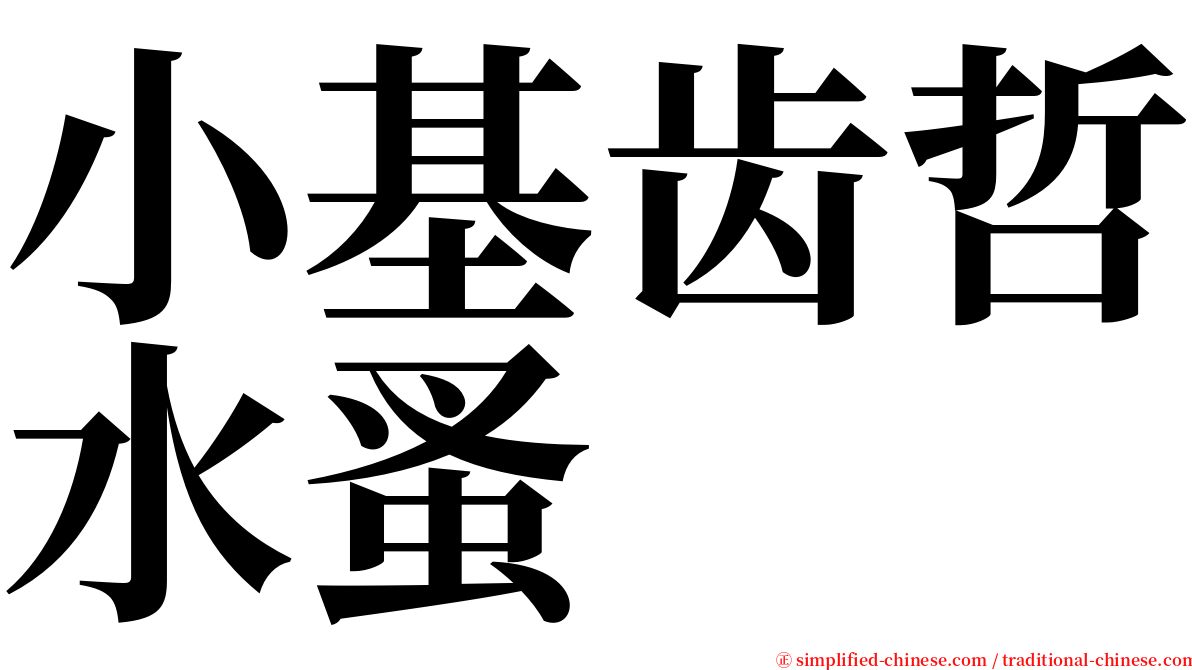 小基齿哲水蚤 serif font