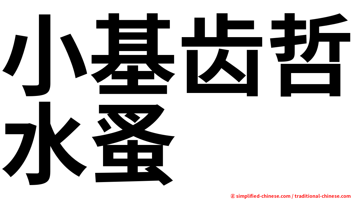 小基齿哲水蚤