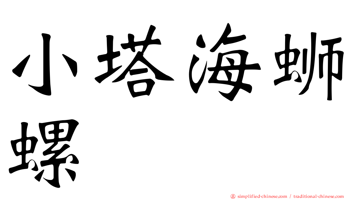 小塔海蛳螺