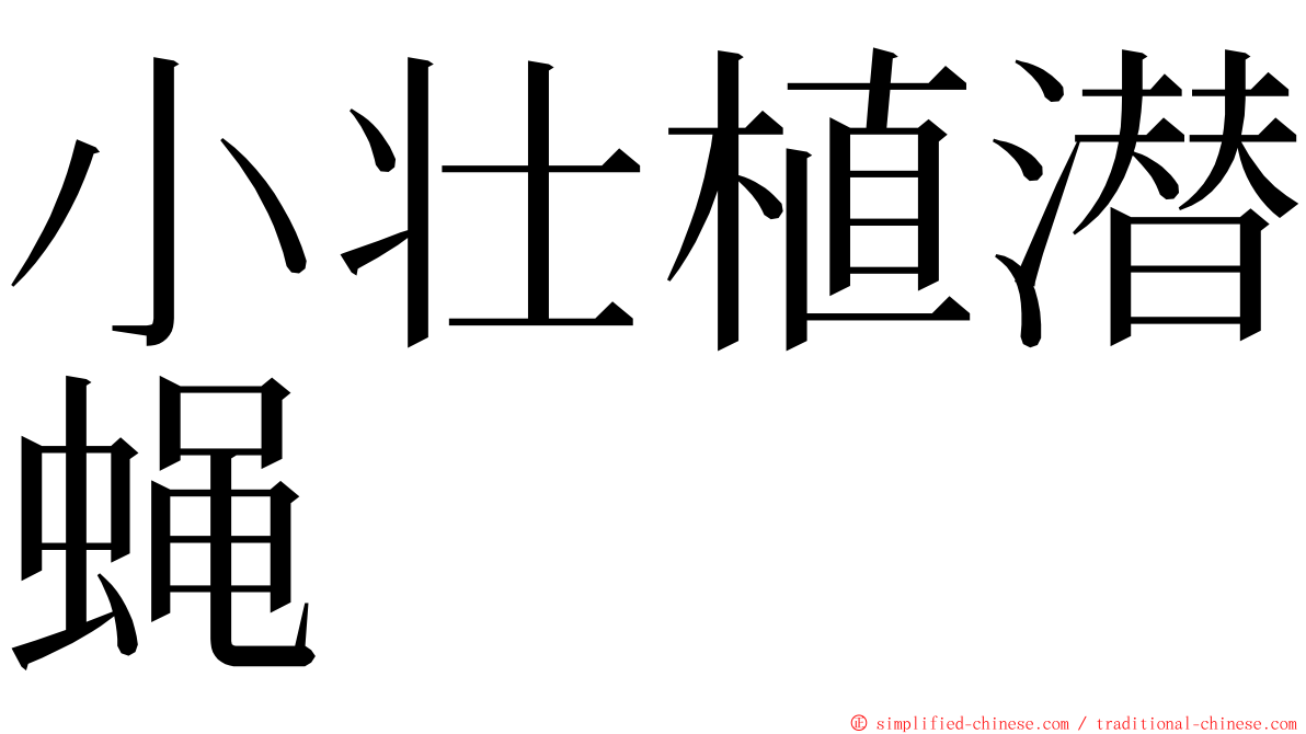 小壮植潜蝇 ming font