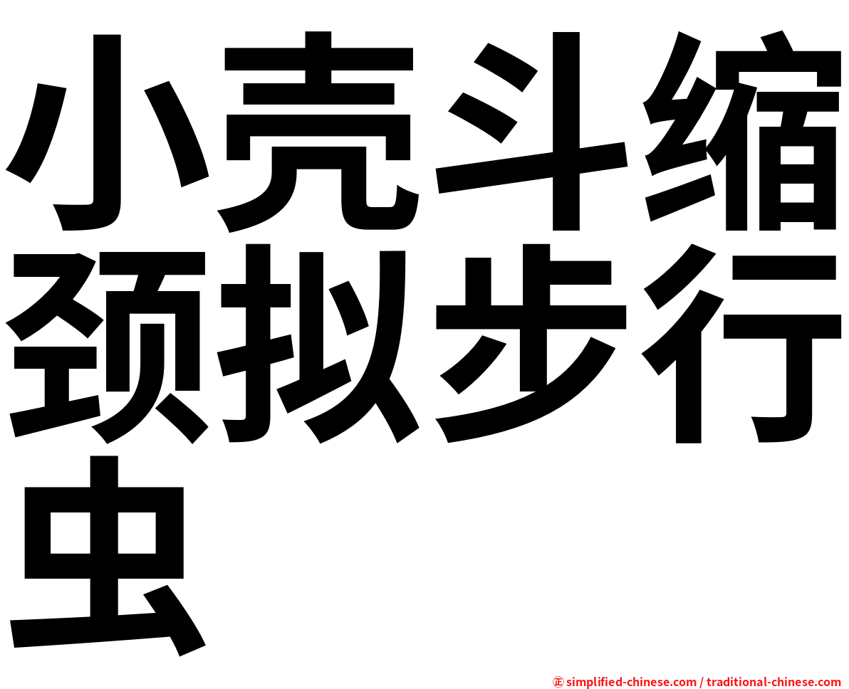 小壳斗缩颈拟步行虫