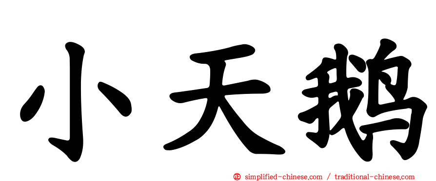 小天鹅