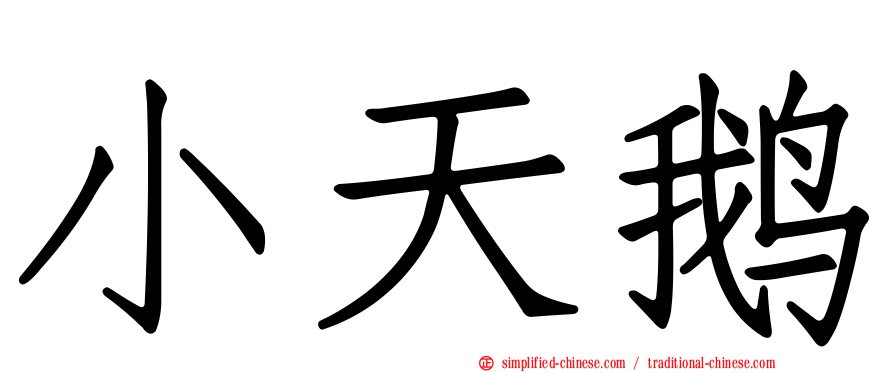 小天鹅