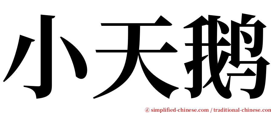 小天鹅 serif font
