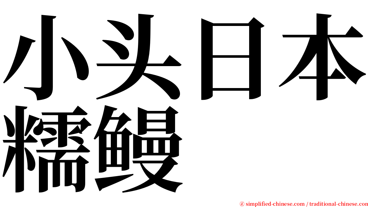 小头日本糯鳗 serif font