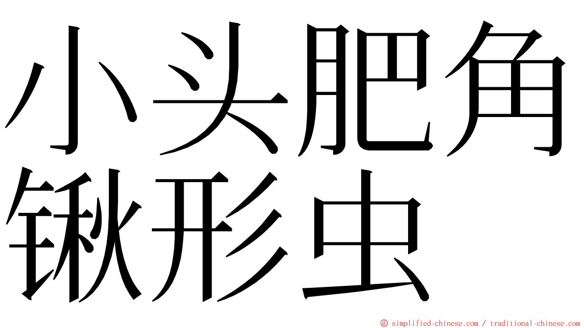 小头肥角锹形虫 ming font