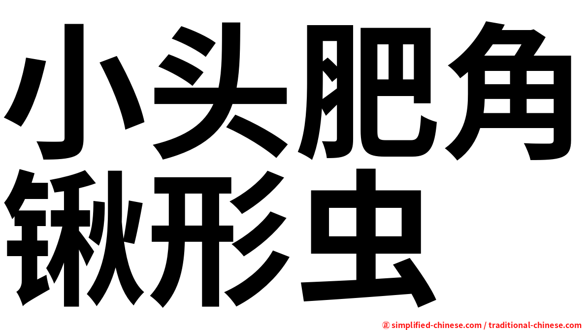 小头肥角锹形虫