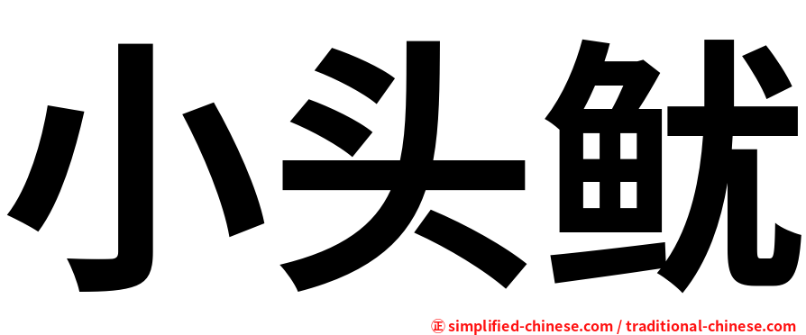 小头鱿