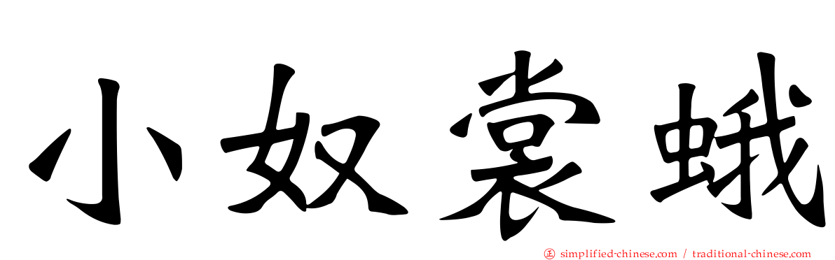 小奴裳蛾