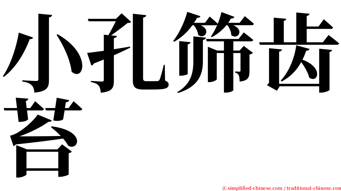 小孔筛齿苔 serif font