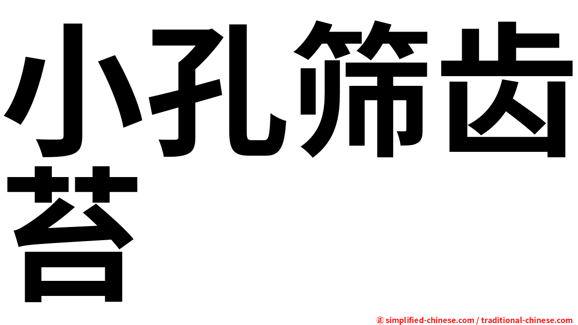 小孔筛齿苔