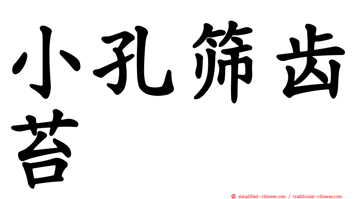 小孔筛齿苔