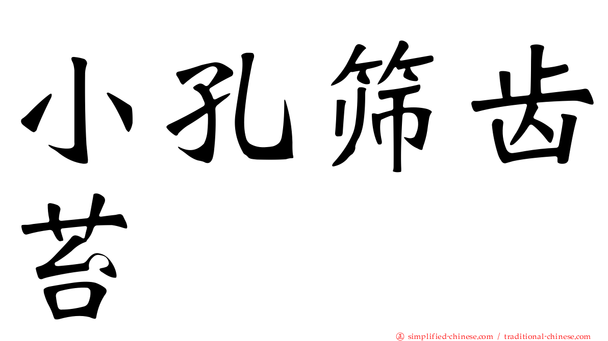 小孔筛齿苔