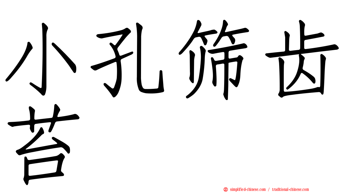小孔筛齿苔