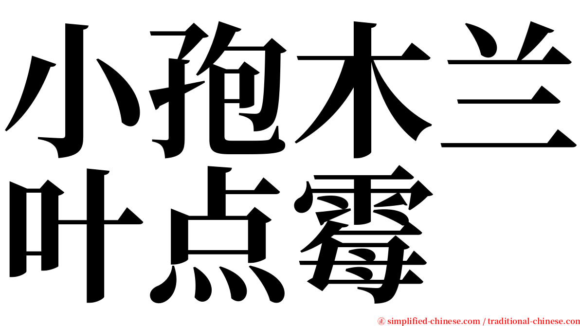 小孢木兰叶点霉 serif font