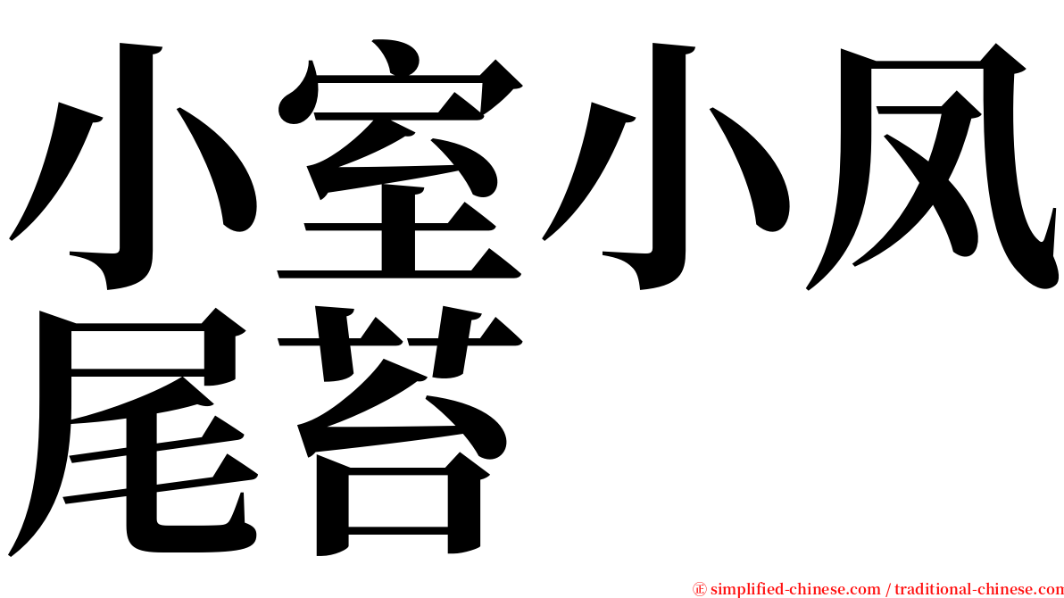 小室小凤尾苔 serif font