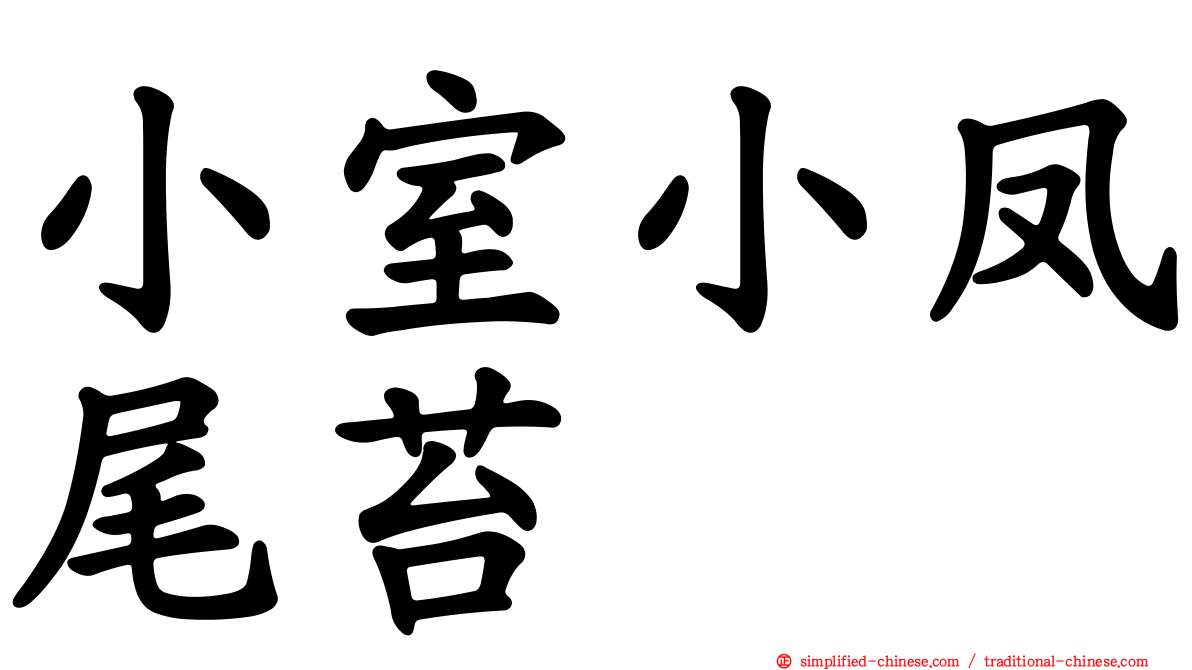 小室小凤尾苔