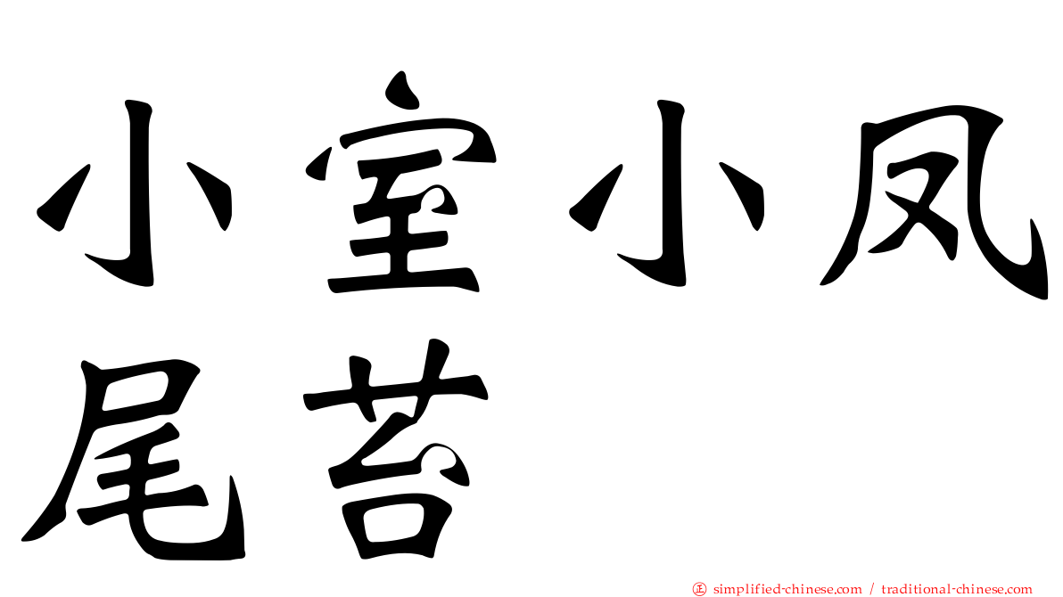 小室小凤尾苔