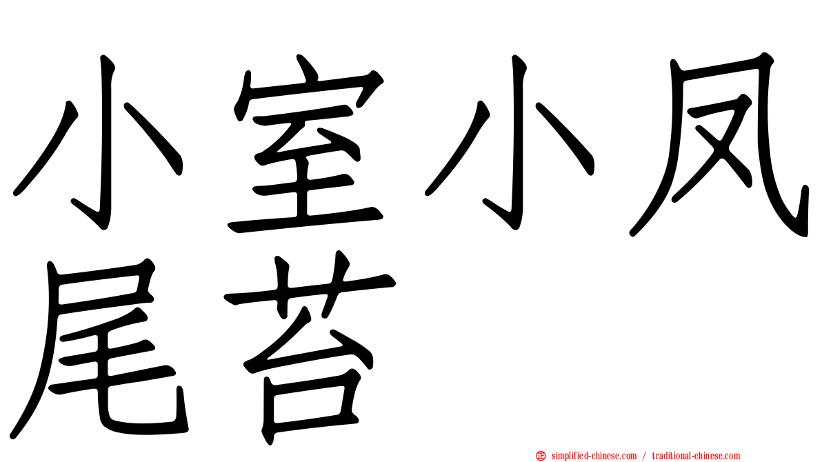 小室小凤尾苔
