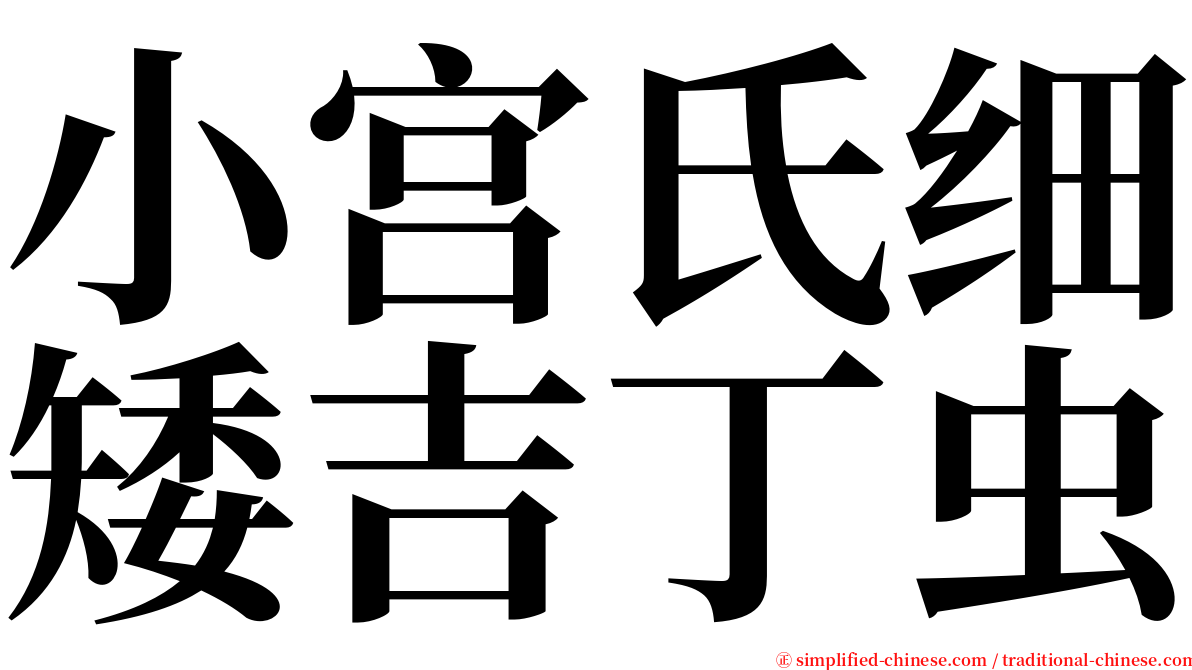 小宫氏细矮吉丁虫 serif font