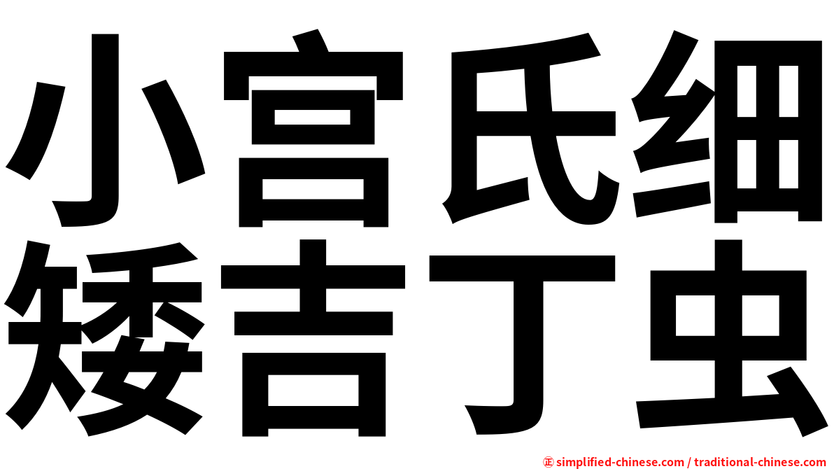 小宫氏细矮吉丁虫