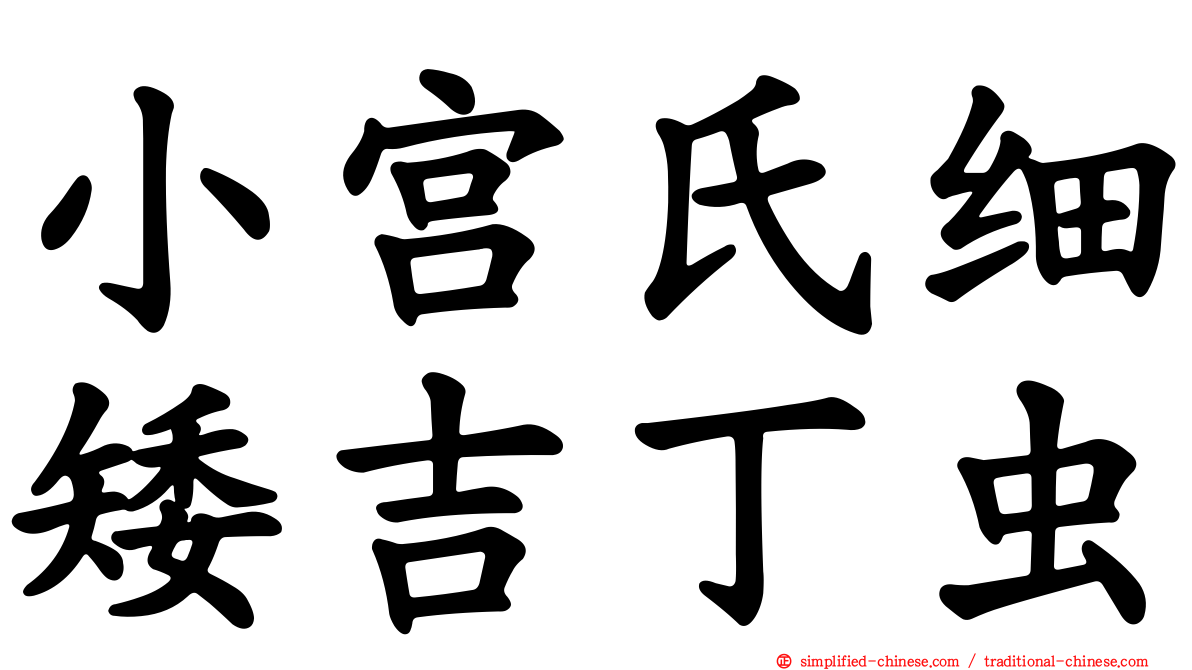 小宫氏细矮吉丁虫