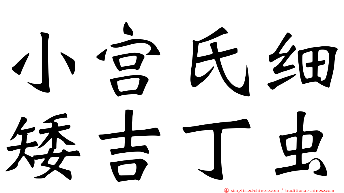 小宫氏细矮吉丁虫