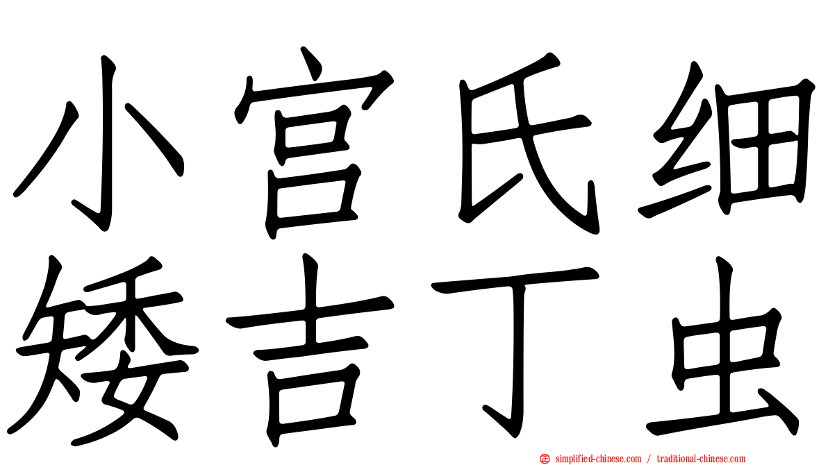 小宫氏细矮吉丁虫