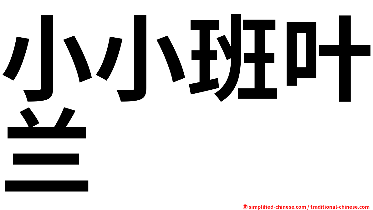 小小班叶兰