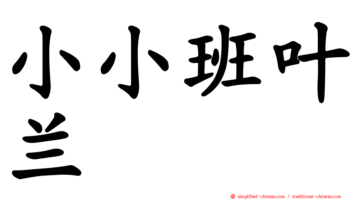 小小班叶兰