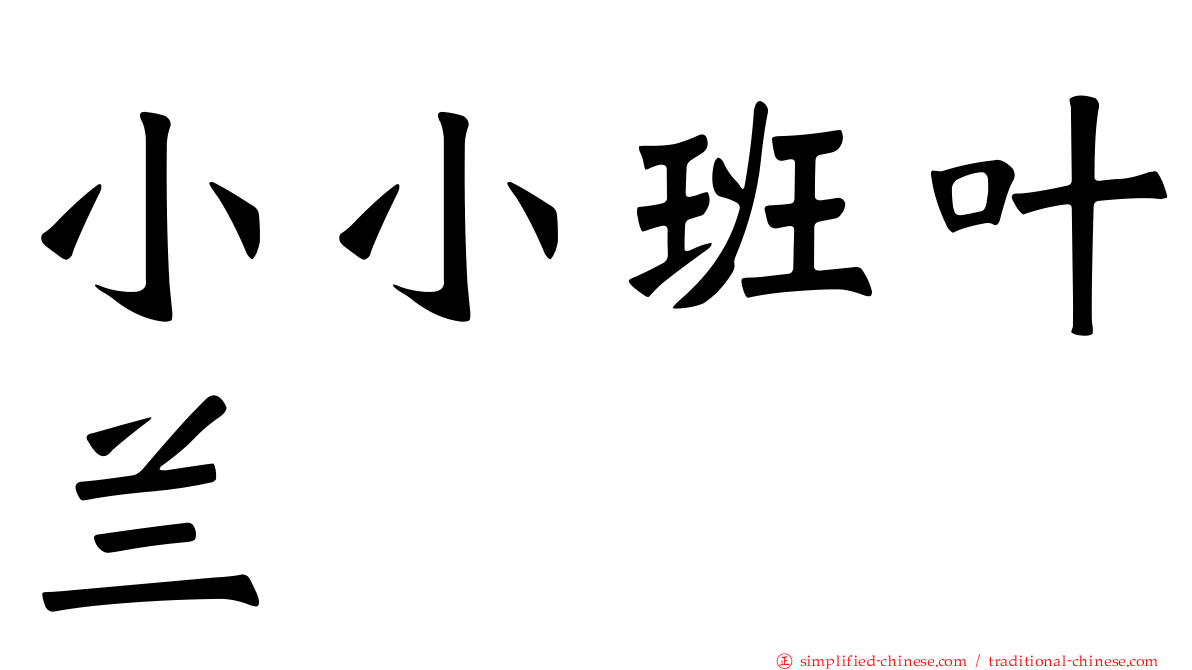 小小班叶兰